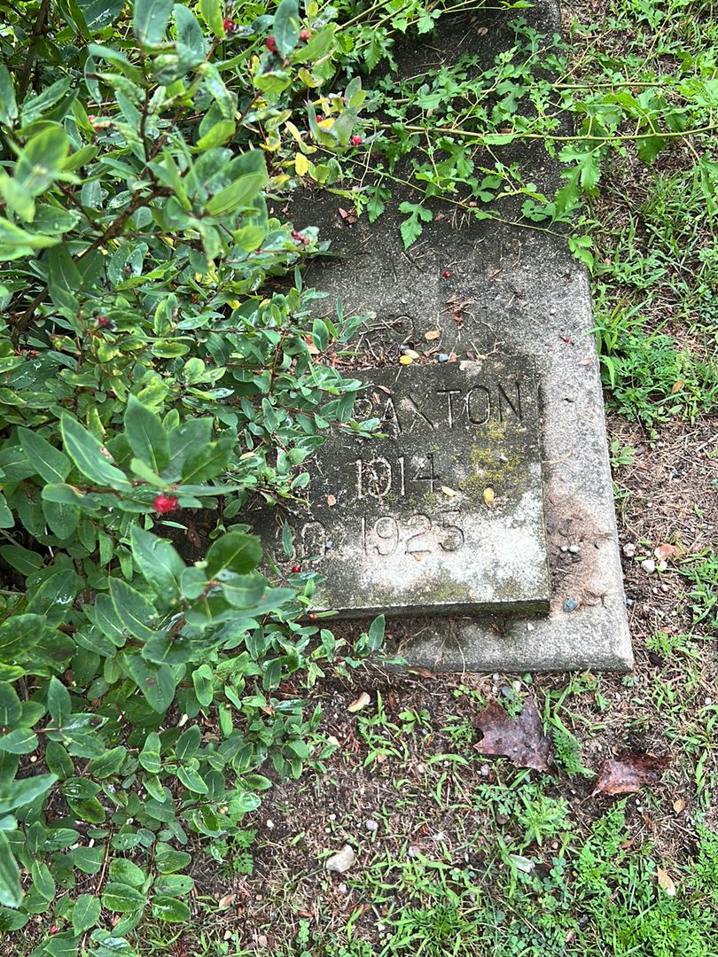 Beatrice Paxton's grave. Photo 1