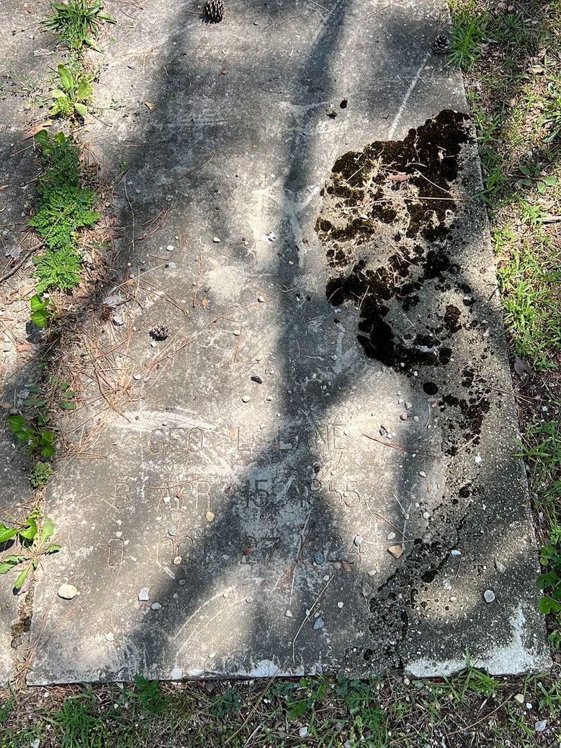 Geo. L. Lane's grave. Photo 1