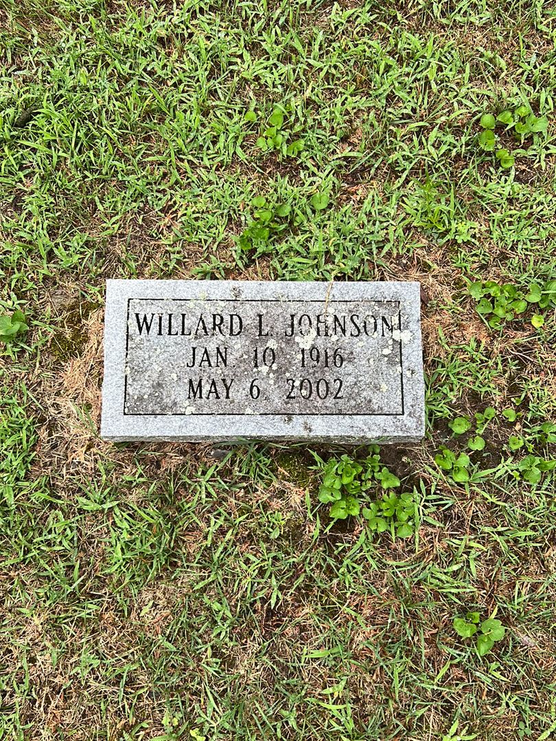 Willard L. Johnson's grave. Photo 1