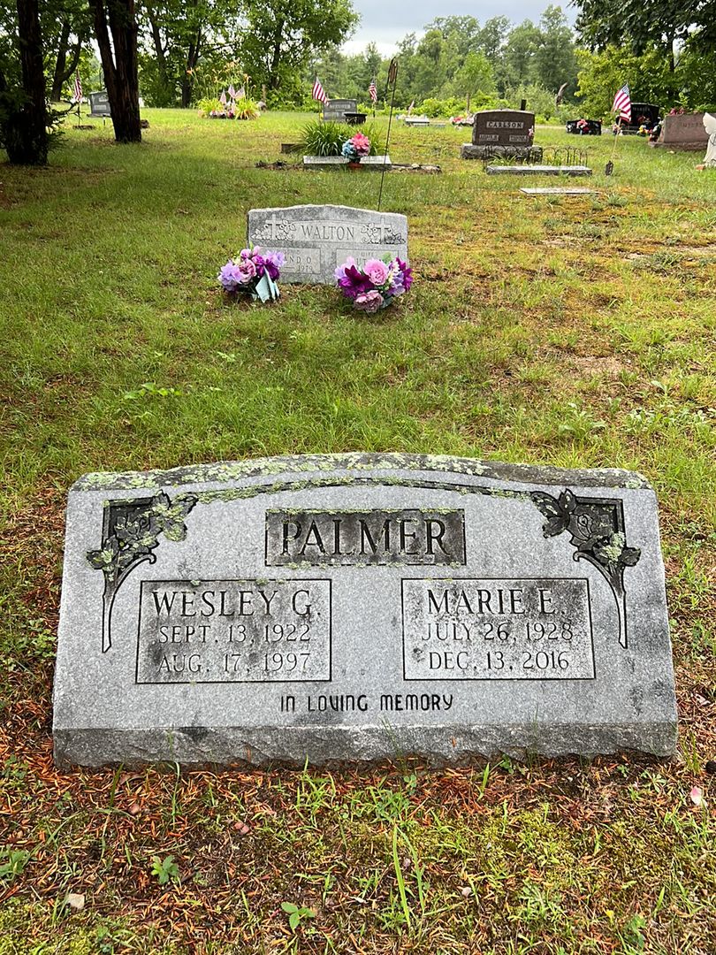 Wesley George Palmer's grave. Photo 1
