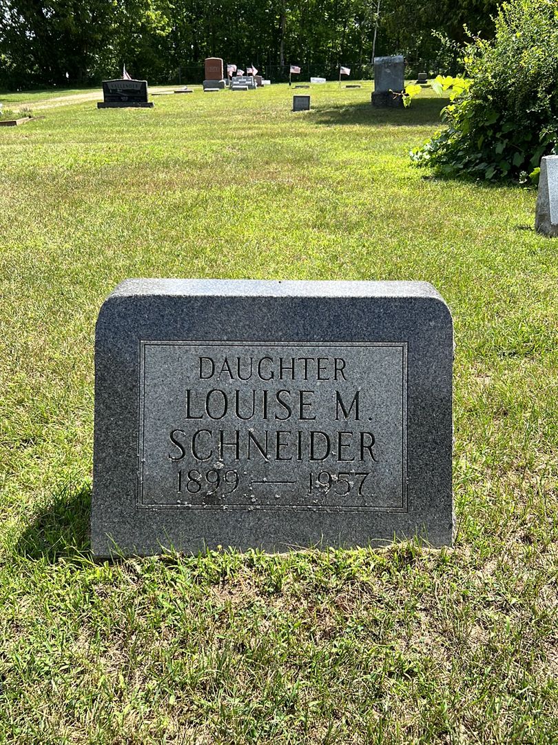 Louise M. Schneider's grave. Photo 1