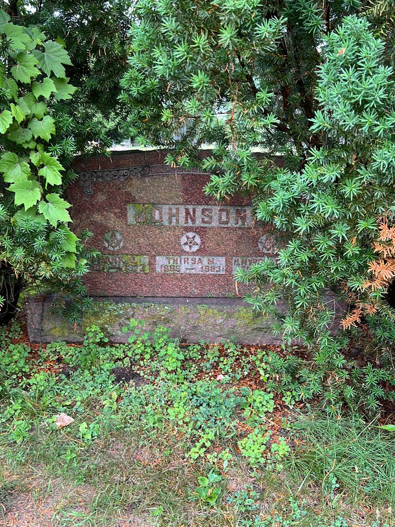 M. Myron Johnson's grave. Photo 1