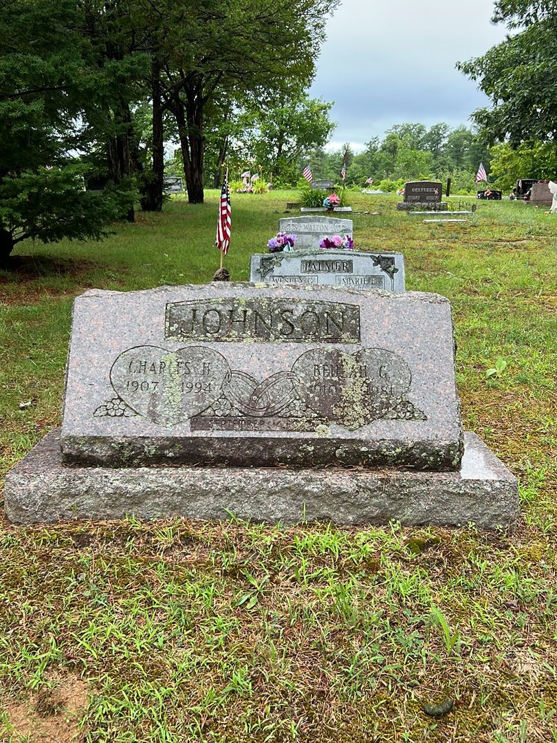 Charles H. Johnson's grave. Photo 1