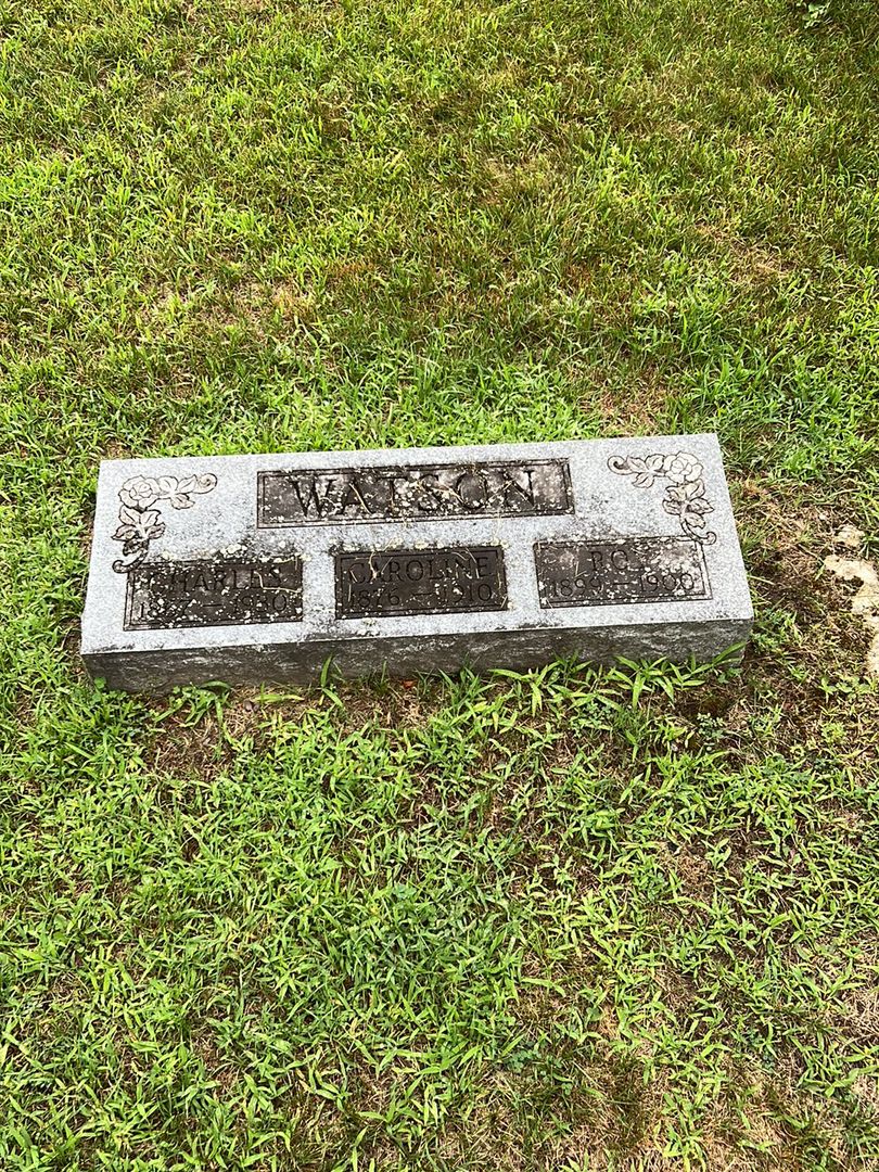 Charles Watson's grave. Photo 1