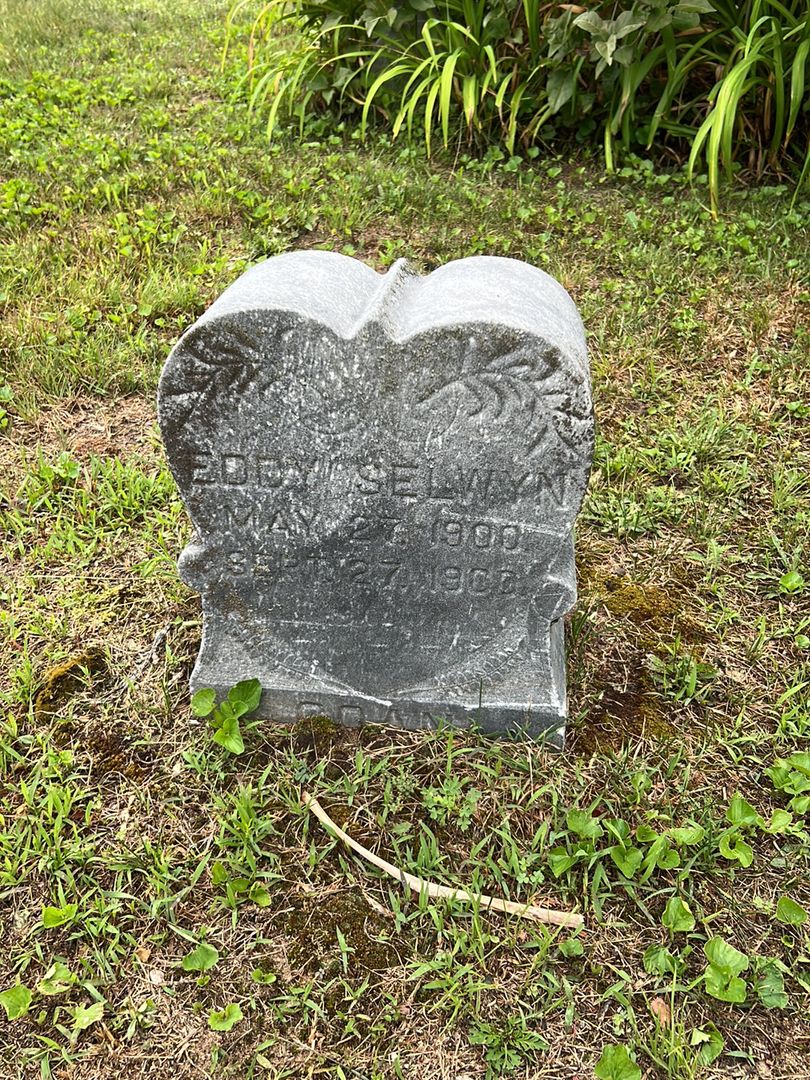 Eddy Selwyn's grave. Photo 1