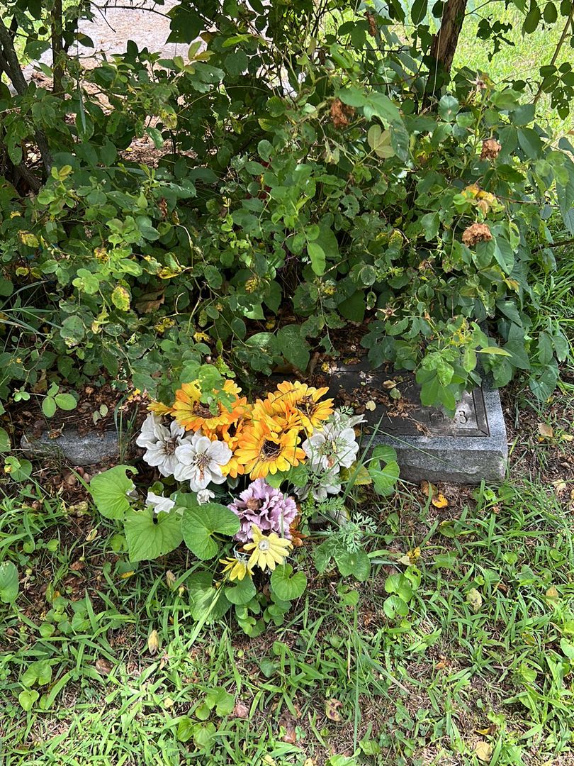 Albertia May Dangler's grave. Photo 1