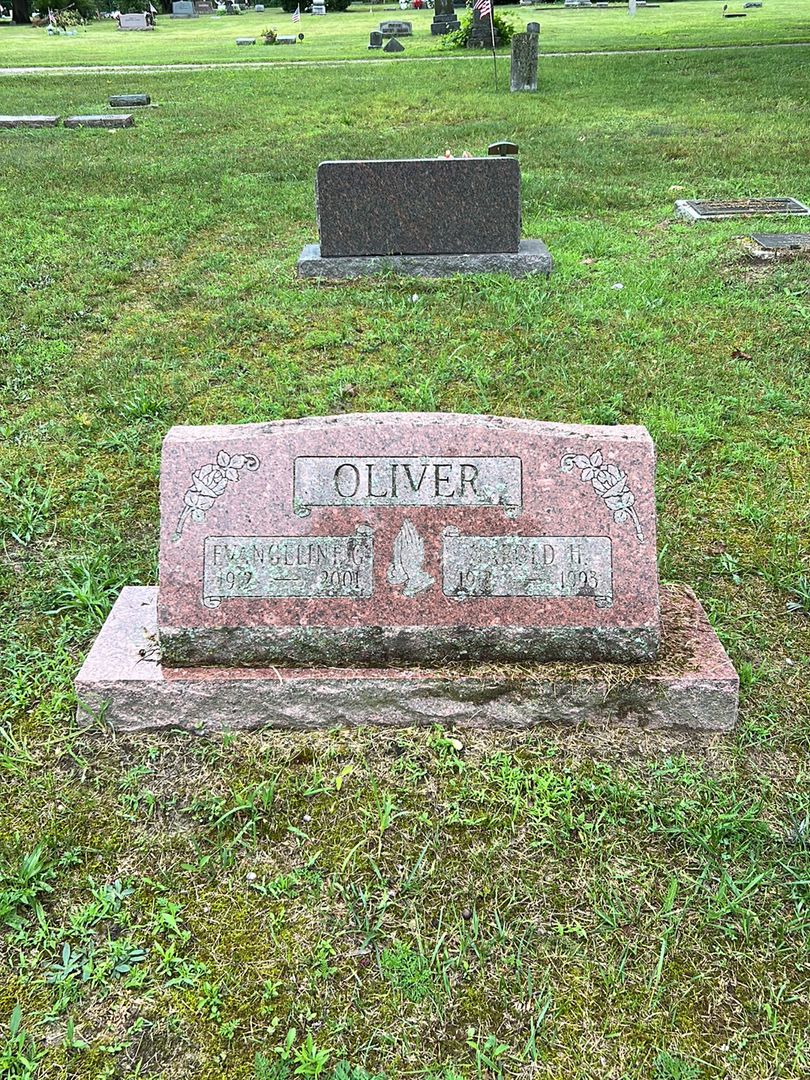 Harold H. Oliver's grave. Photo 1