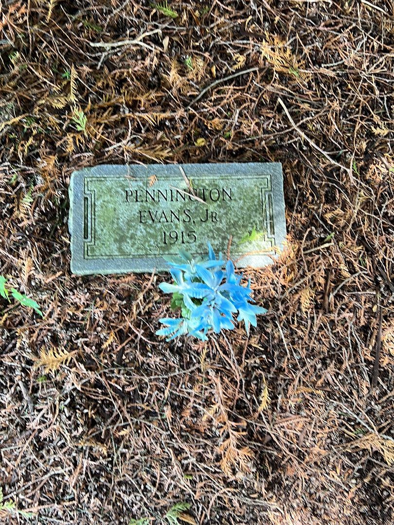 Pennington Evans Junior's grave. Photo 1