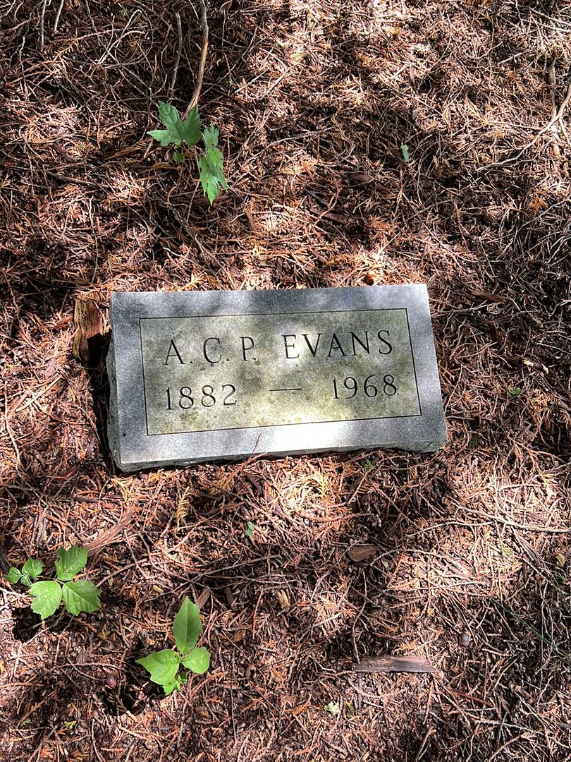 A. C. P. Evans's grave. Photo 1