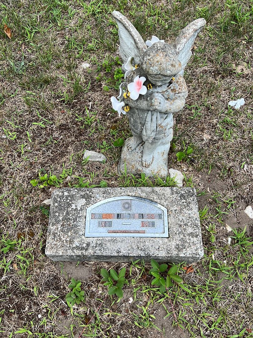 Sharee Jean Dassay's grave. Photo 1