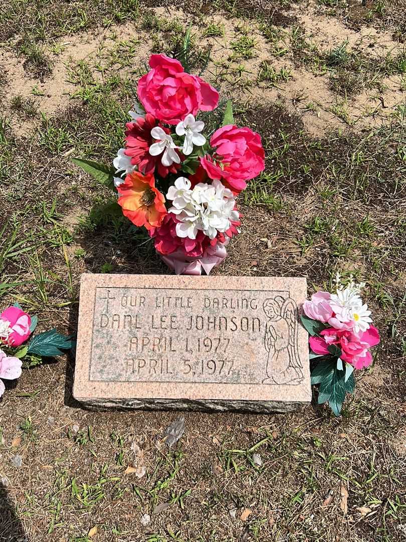 Danl Lee Johnson's grave. Photo 1