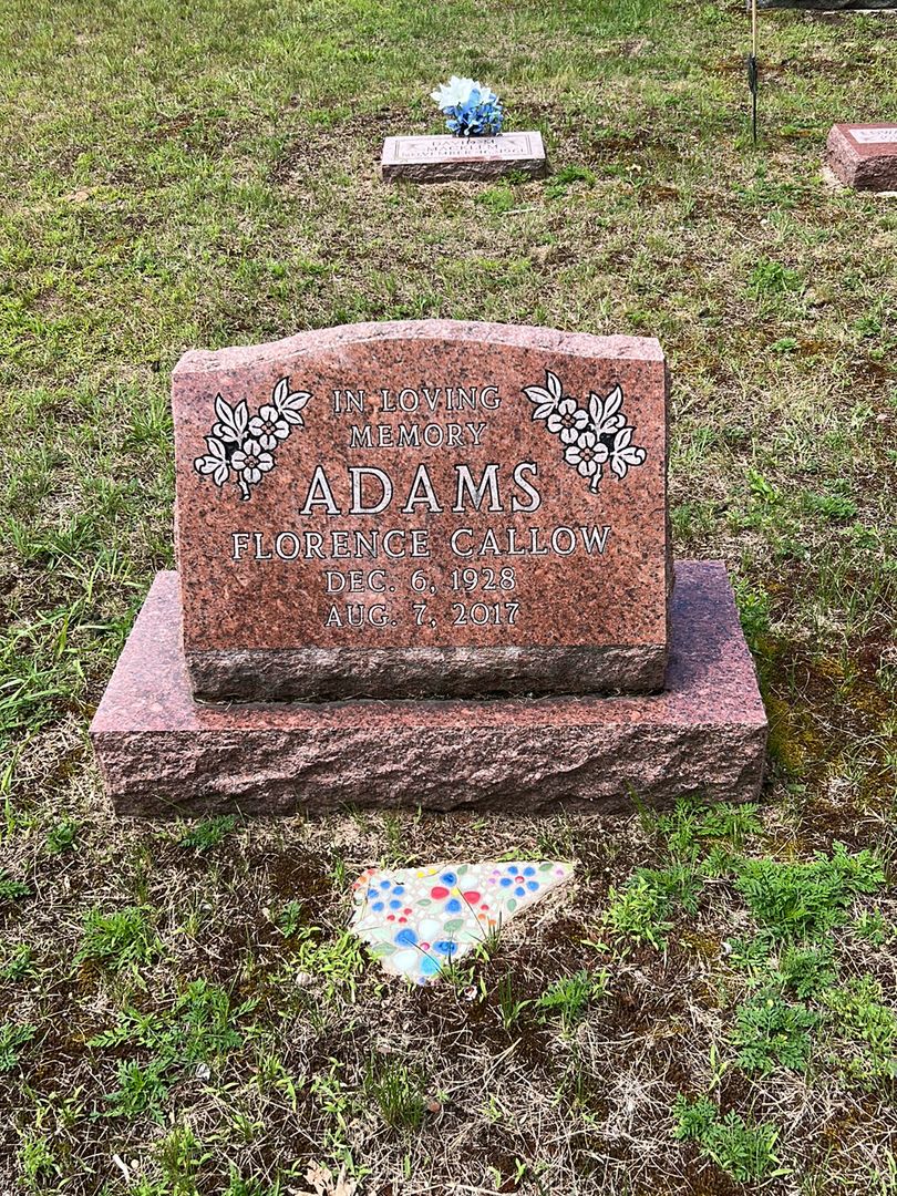 Edwin Adams's grave. Photo 1