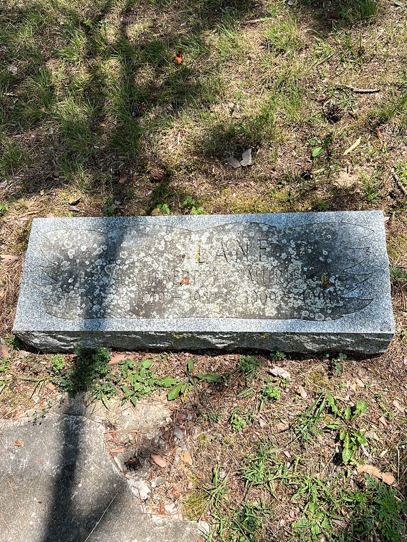 Gilbert Lane's grave. Photo 1